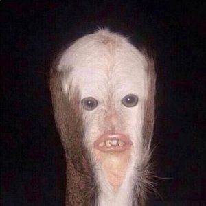 Meet your Posher, Lafonda